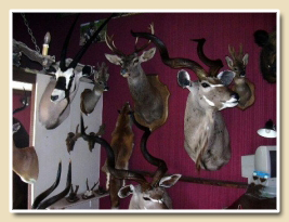 site_vente2