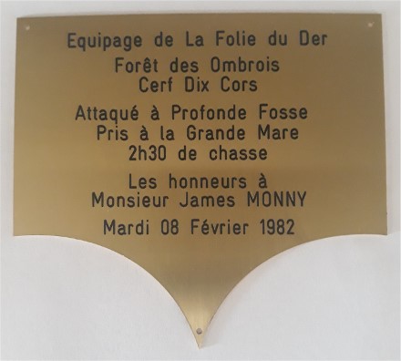 Médaille D'identification Pour Animal De Compagnie En Laiton Médaille Personnalisée