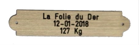 Plaque_Troph__e__4ead7fea4e9ac.jpg