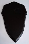 ECH1